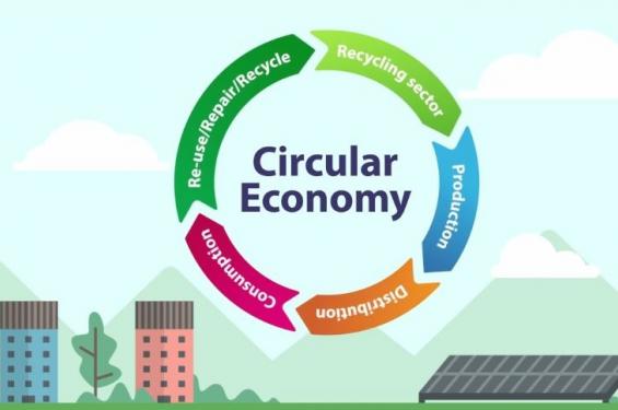 Contribution commune du CCE et du CFDD à un plan d’action fédéral en faveur de l’économie circulaire