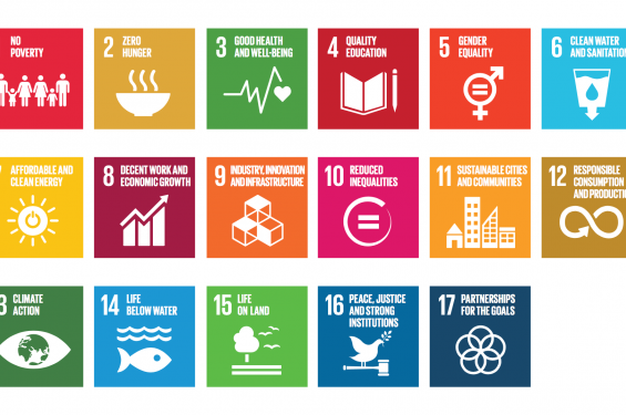 L’avant-projet de plan fédéral de développement durable 2021-2025