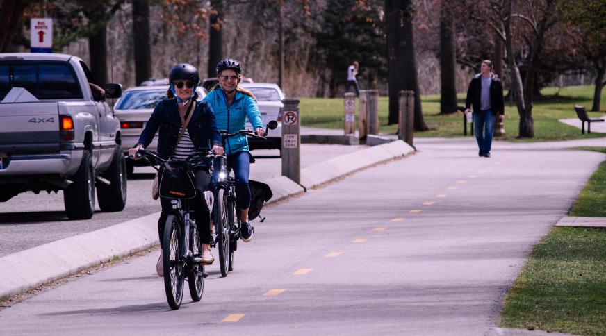Het fietsgebruik voor het woon-werkverkeer