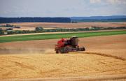 Crise en Ukraine : certaines clauses dans la chaîne agricole et alimentaire