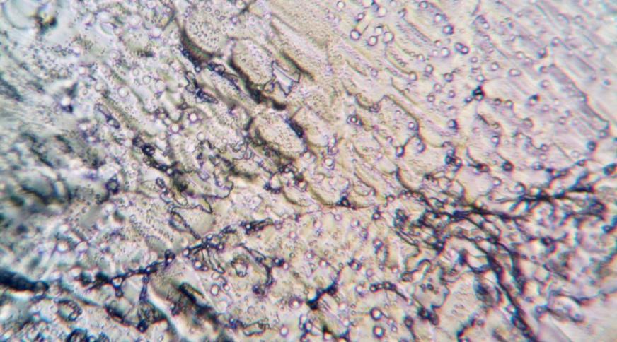 La mise sur le marché des substances  manufacturées à l’état nanoparticulaire